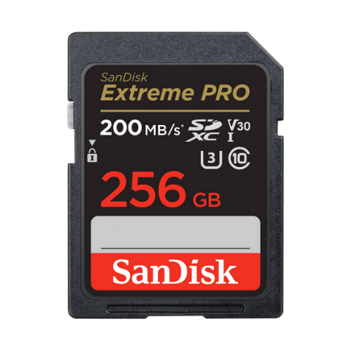 How to Recover Data from a Corrupted SanDisk SD Card